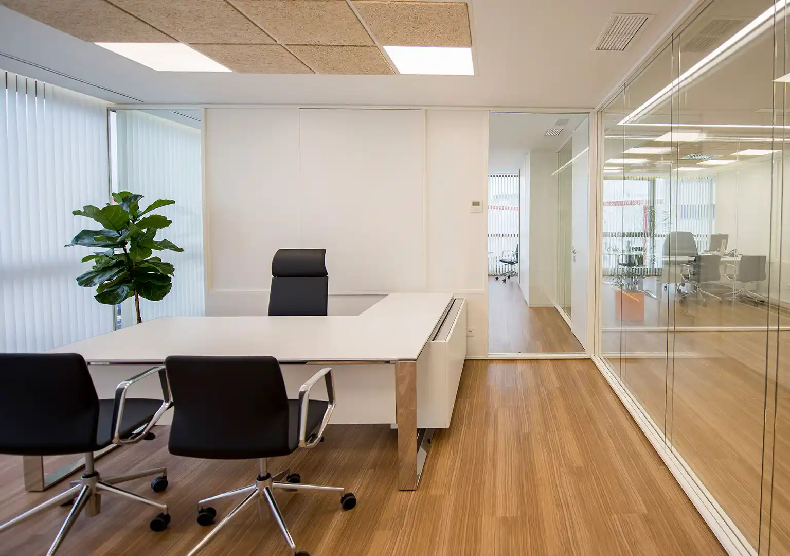 proyectos oficinas mamparas